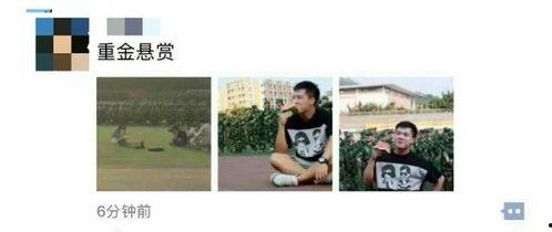 娱乐吃瓜资料来源于哪里,揭秘娱乐圈吃瓜资料的来源与传播